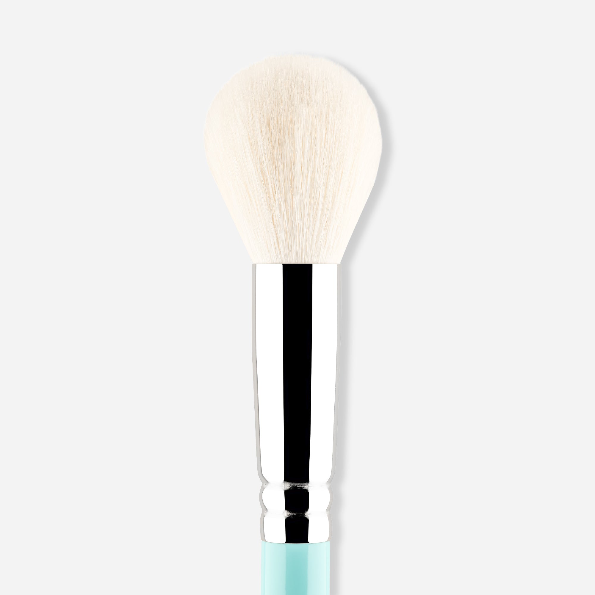 160 - MY POWDER & BLUSH BRUSH