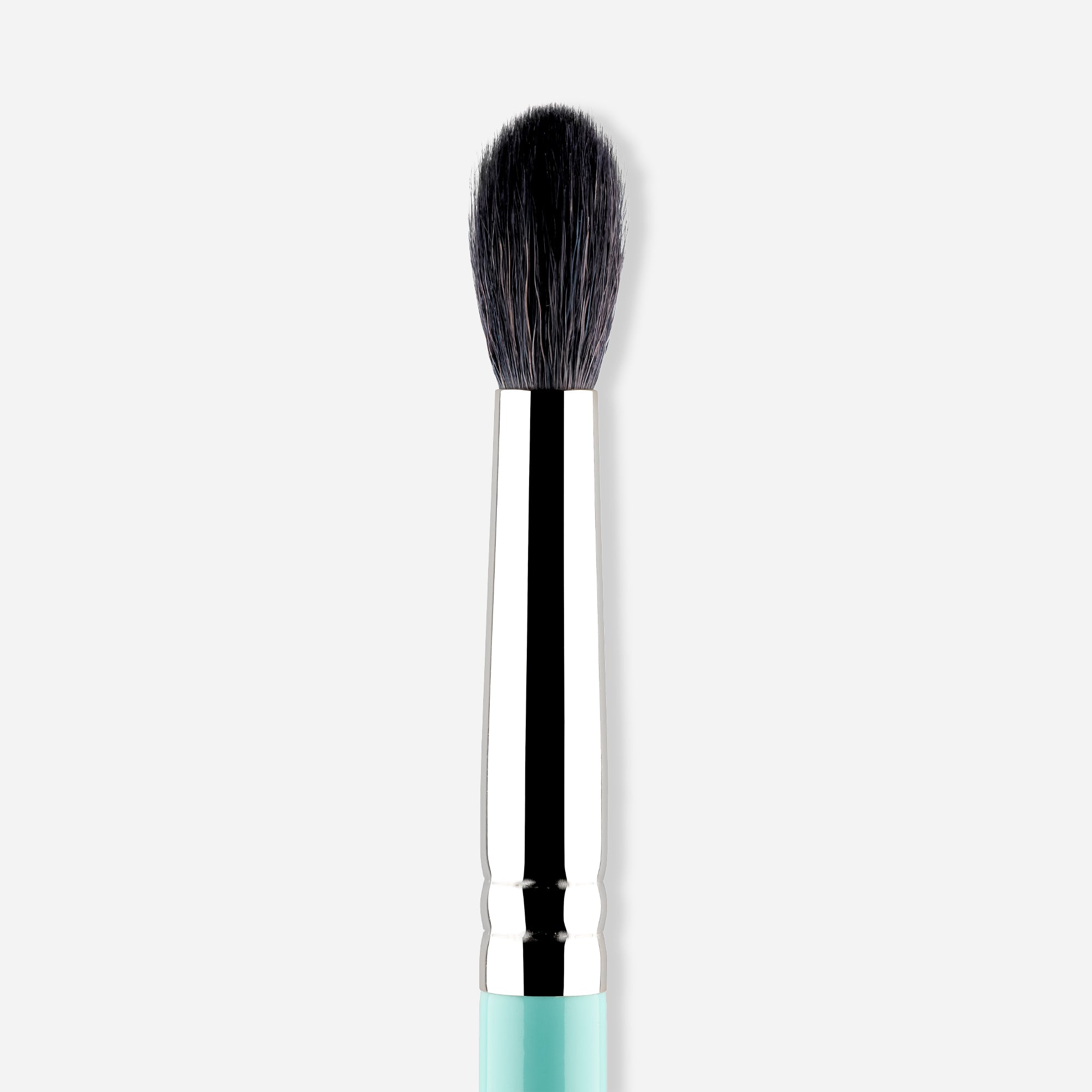 221 - MY BUFFING BLENDER BRUSH
