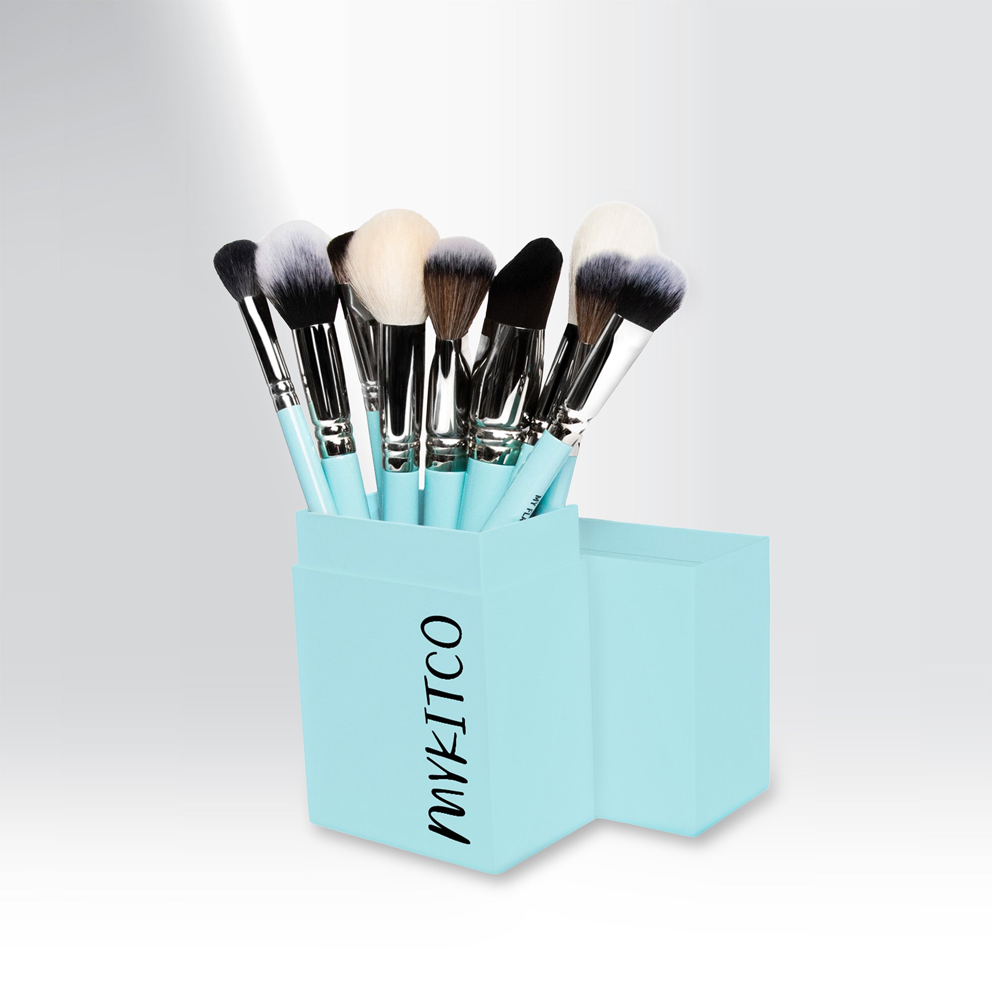 MY SIGNATURE COMPLEXION BRUSH SET