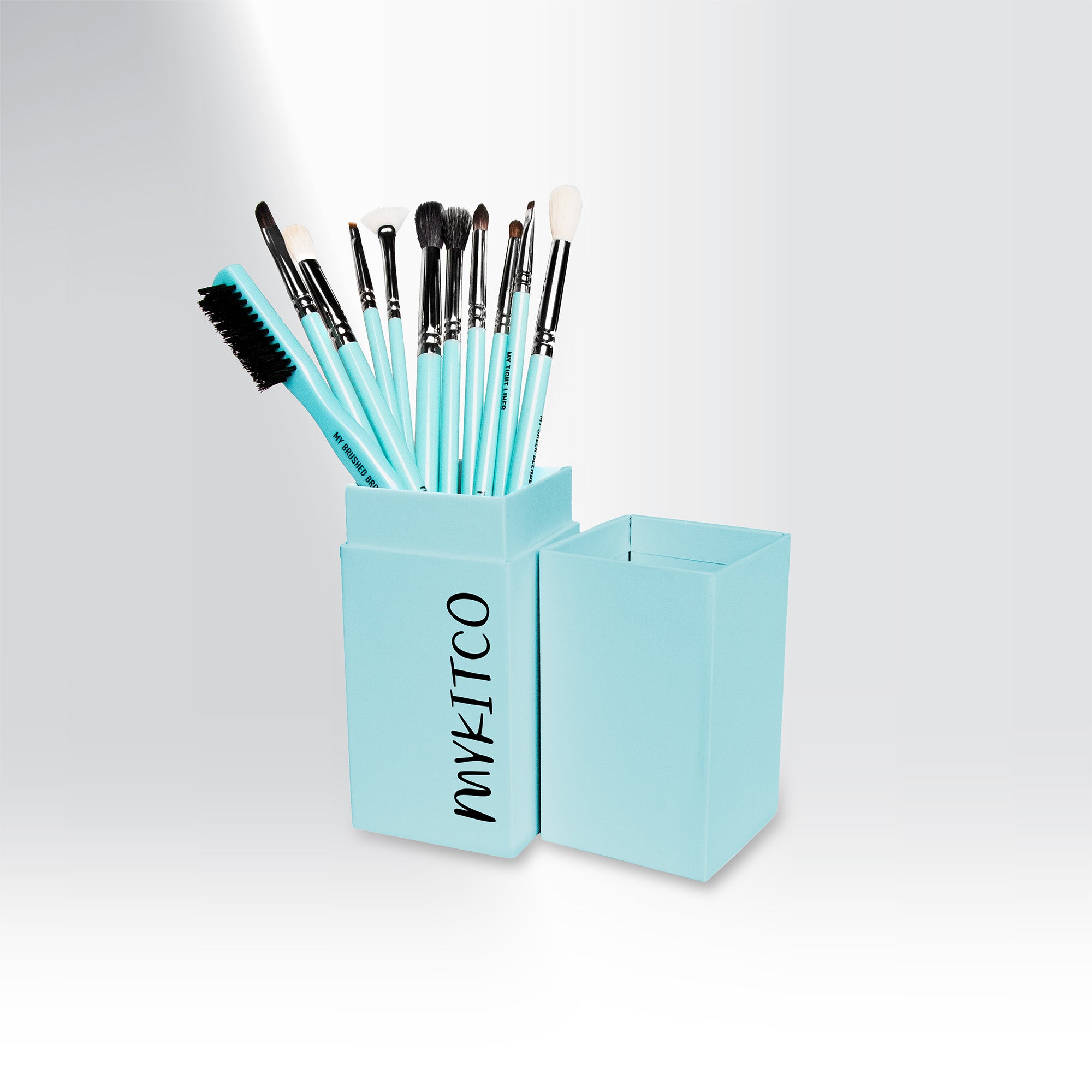MY SIGNATURE EYE & DETAIL BRUSH SET