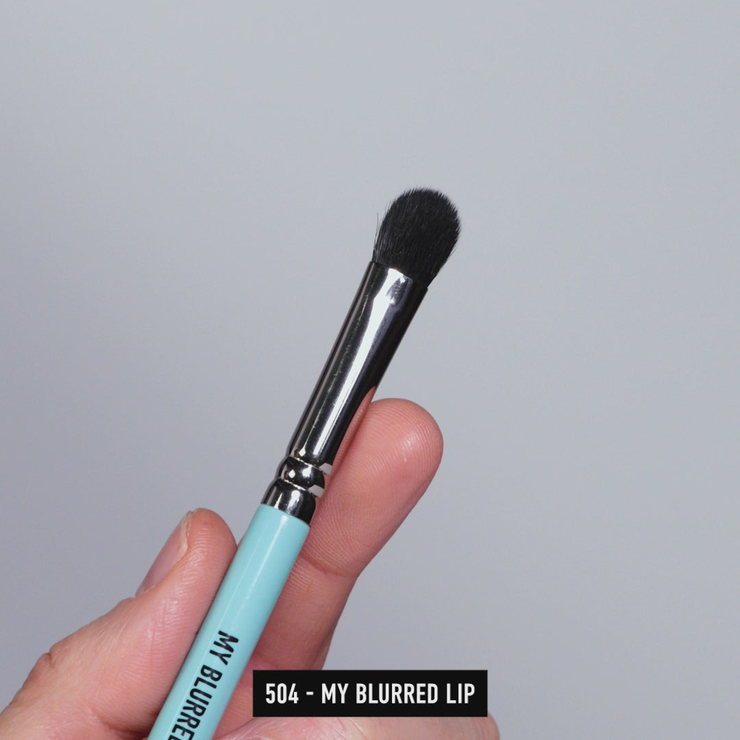 504 - MY BLURRED LIP