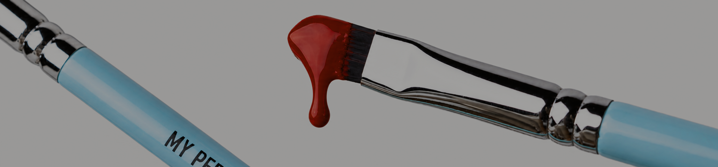 MY BRUSHES: LIPS