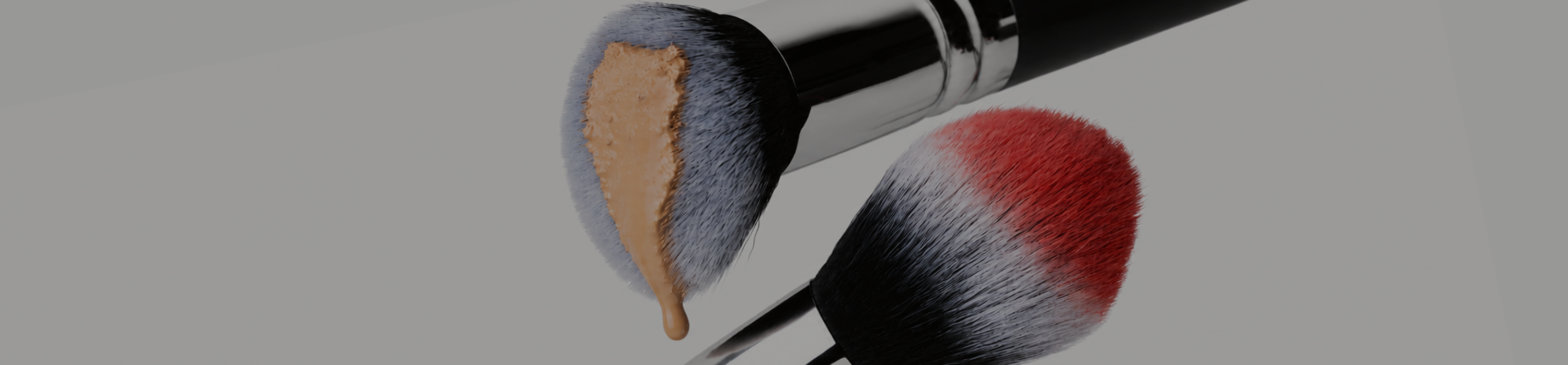 MY BRUSHES: FACE