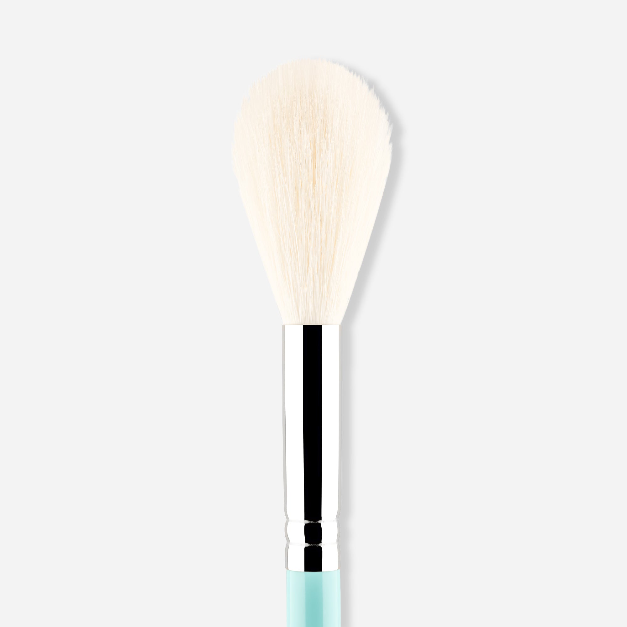 162 - MY POLISHED BLUSH BRUSH