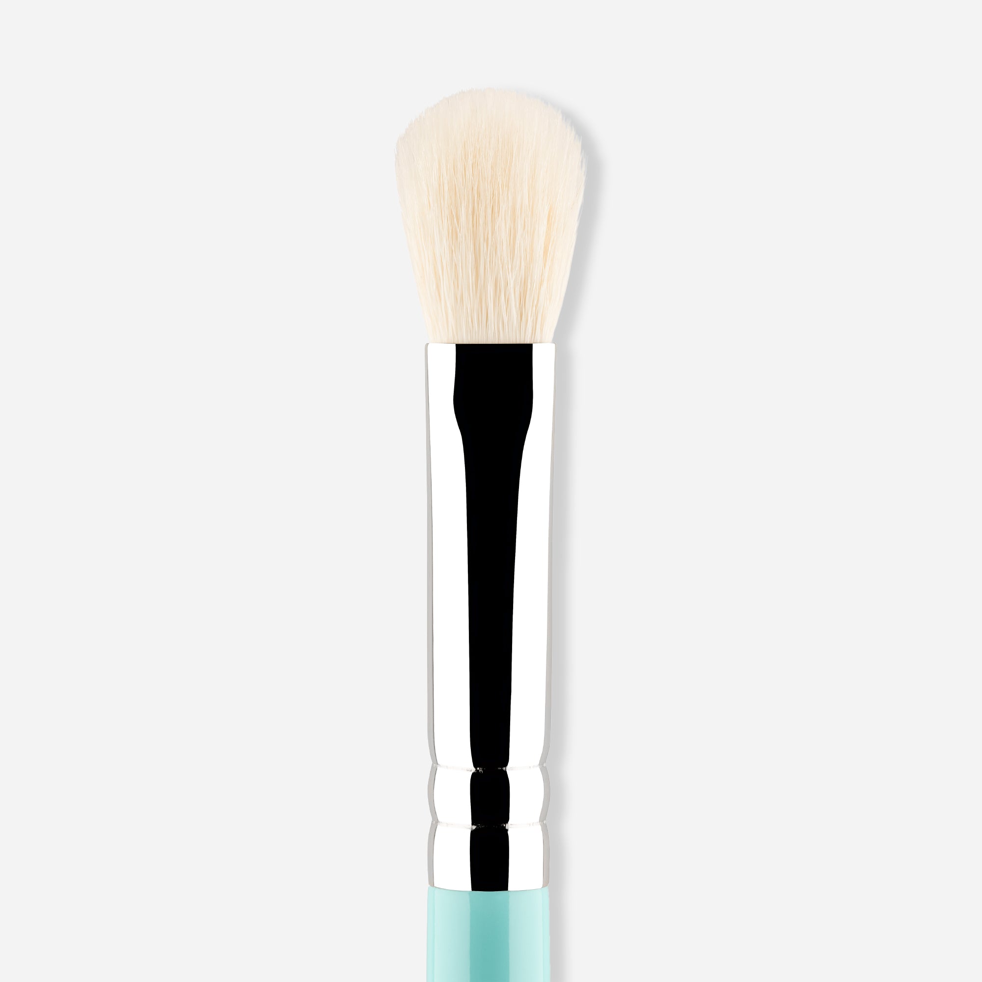 223 - MY FLUFFY BLENDER BRUSH