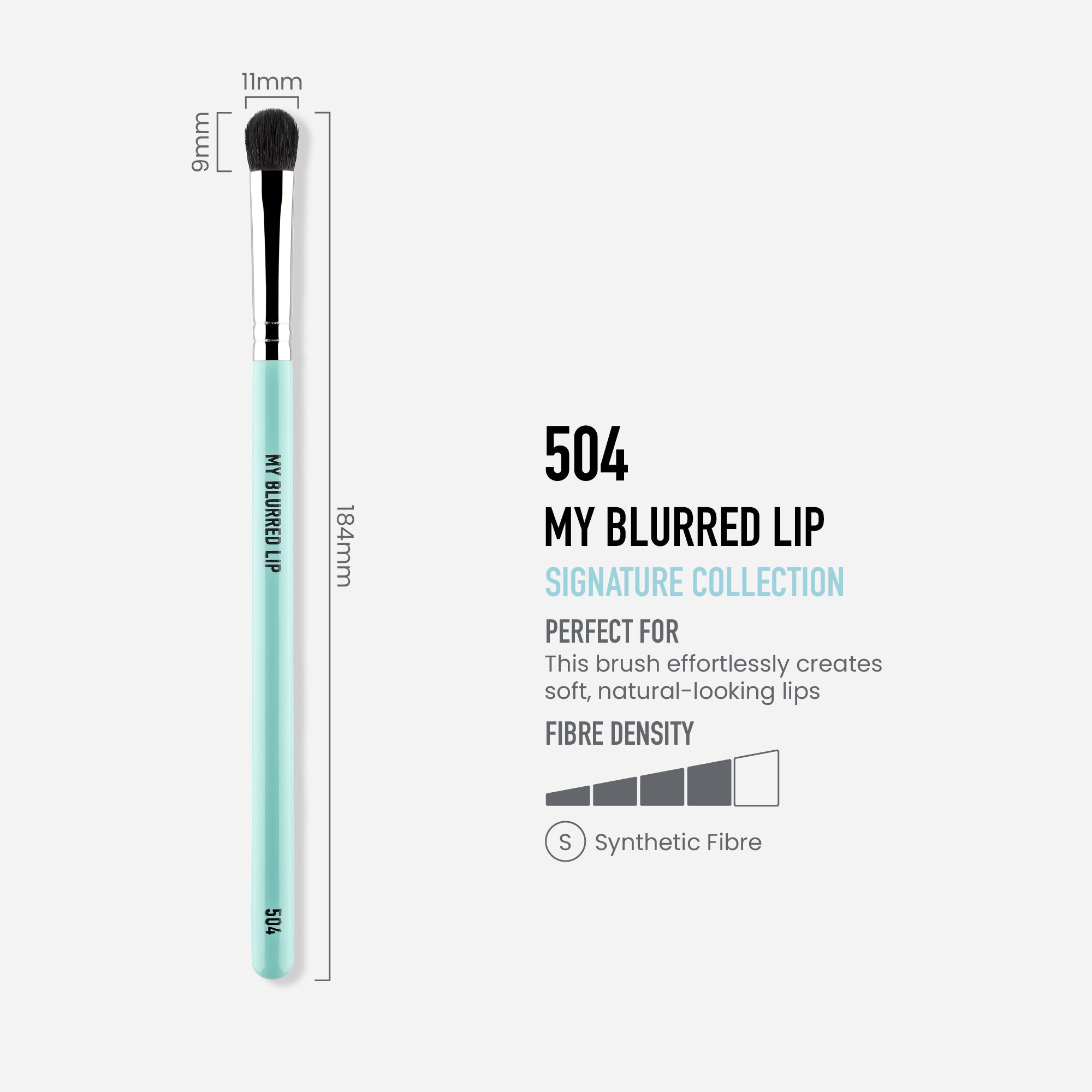 504 - MY BLURRED LIP BRUSH