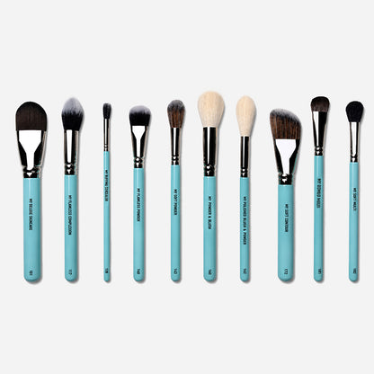 MY SIGNATURE COMPLEXION BRUSH SET