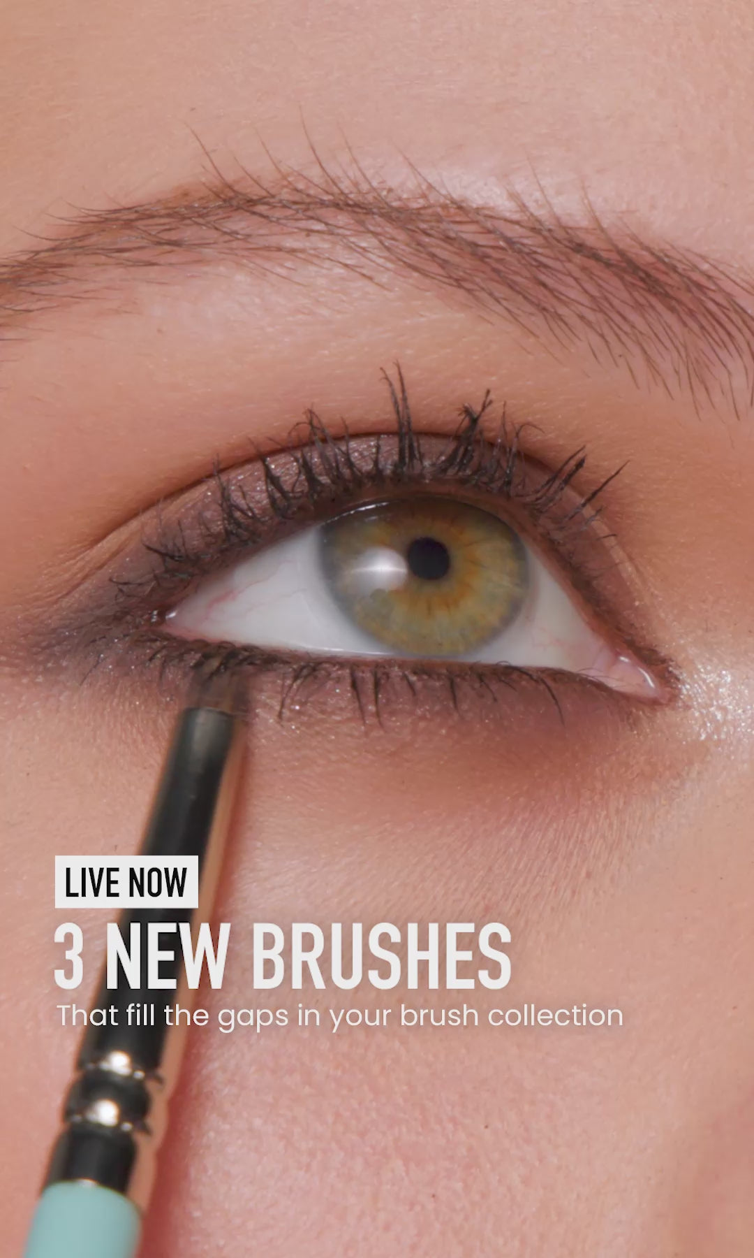 Load video: 3 NEW BRUSHES LIVE NOW